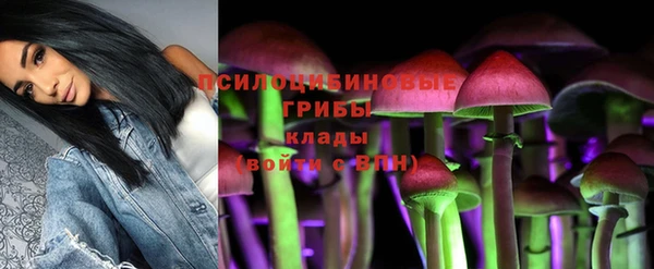 прущие крисы Абинск