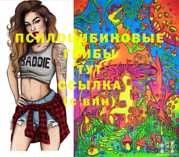 прущие крисы Абинск